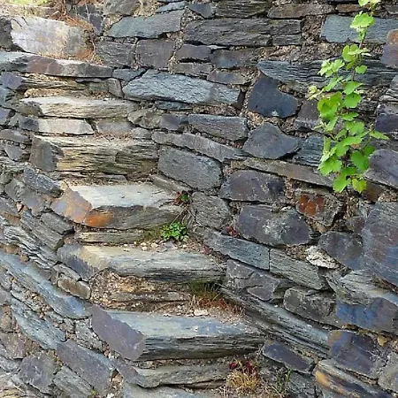 Apartmán 